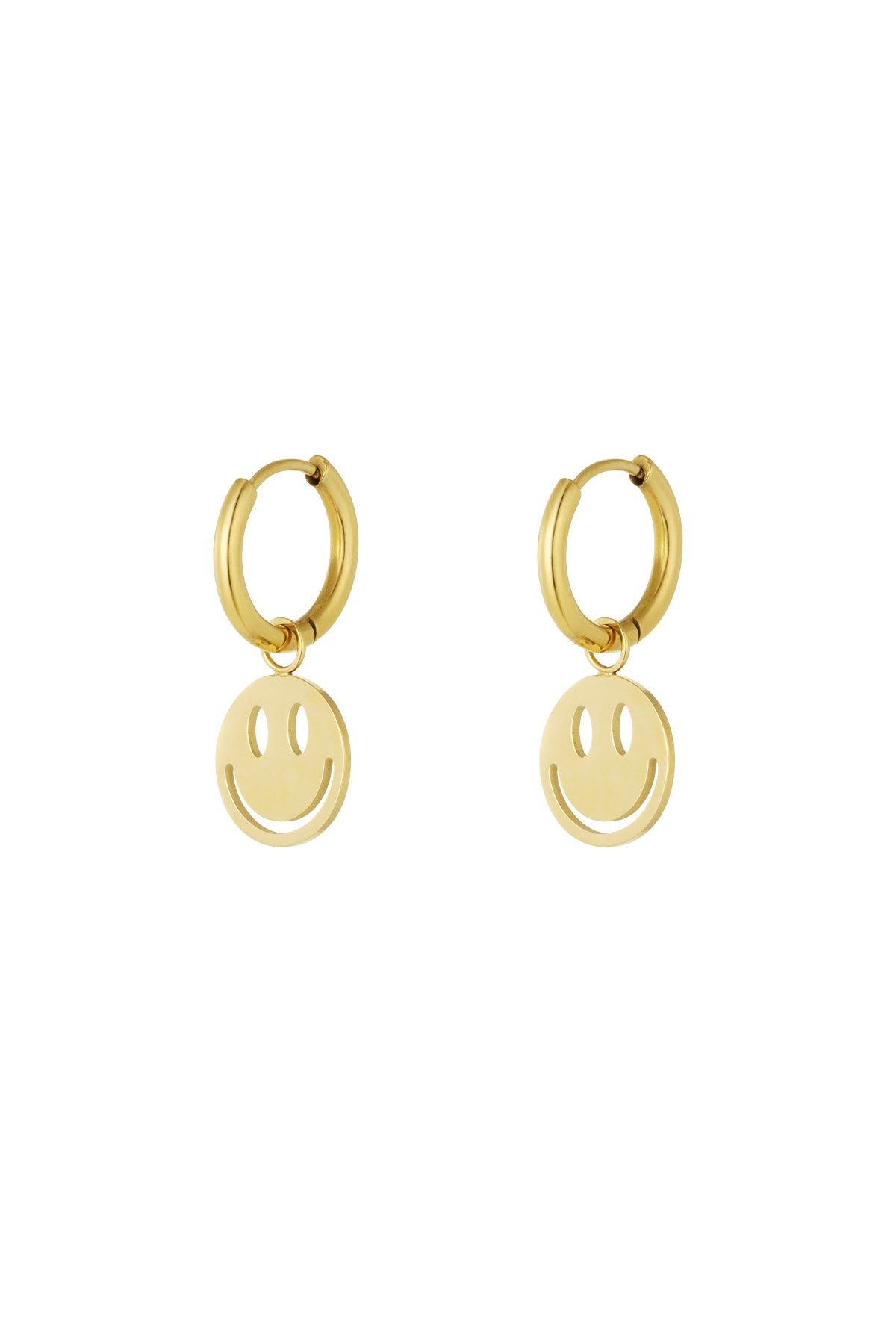 Earrings Joie